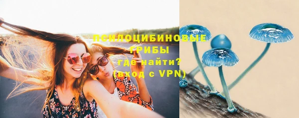 альфа пвп Краснотурьинск