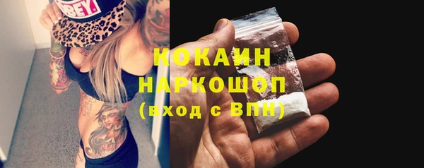 прущие грибы Коряжма