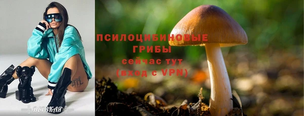 стафф Костерёво