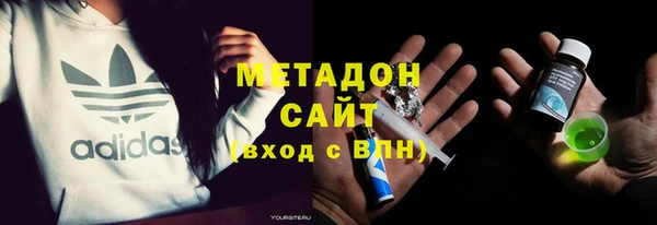 прущие грибы Коряжма