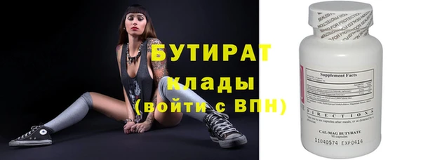 прущие грибы Коряжма