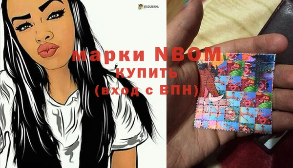прущие грибы Коряжма