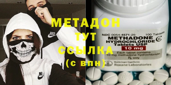 прущие грибы Коряжма
