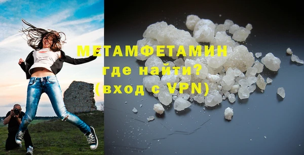 прущие грибы Коряжма