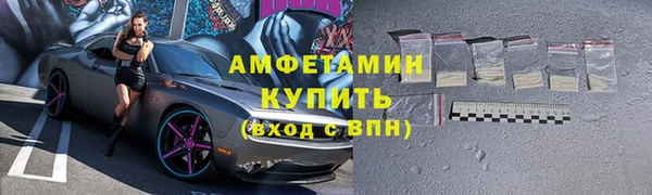 прущие грибы Коряжма