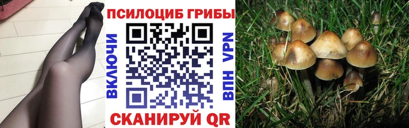 Псилоцибиновые грибы мухоморы  Купить  Ленинск-Кузнецкий 